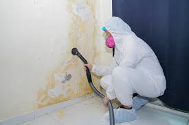 Best Water Damage & Mold Remediation  in Sweetser, IN